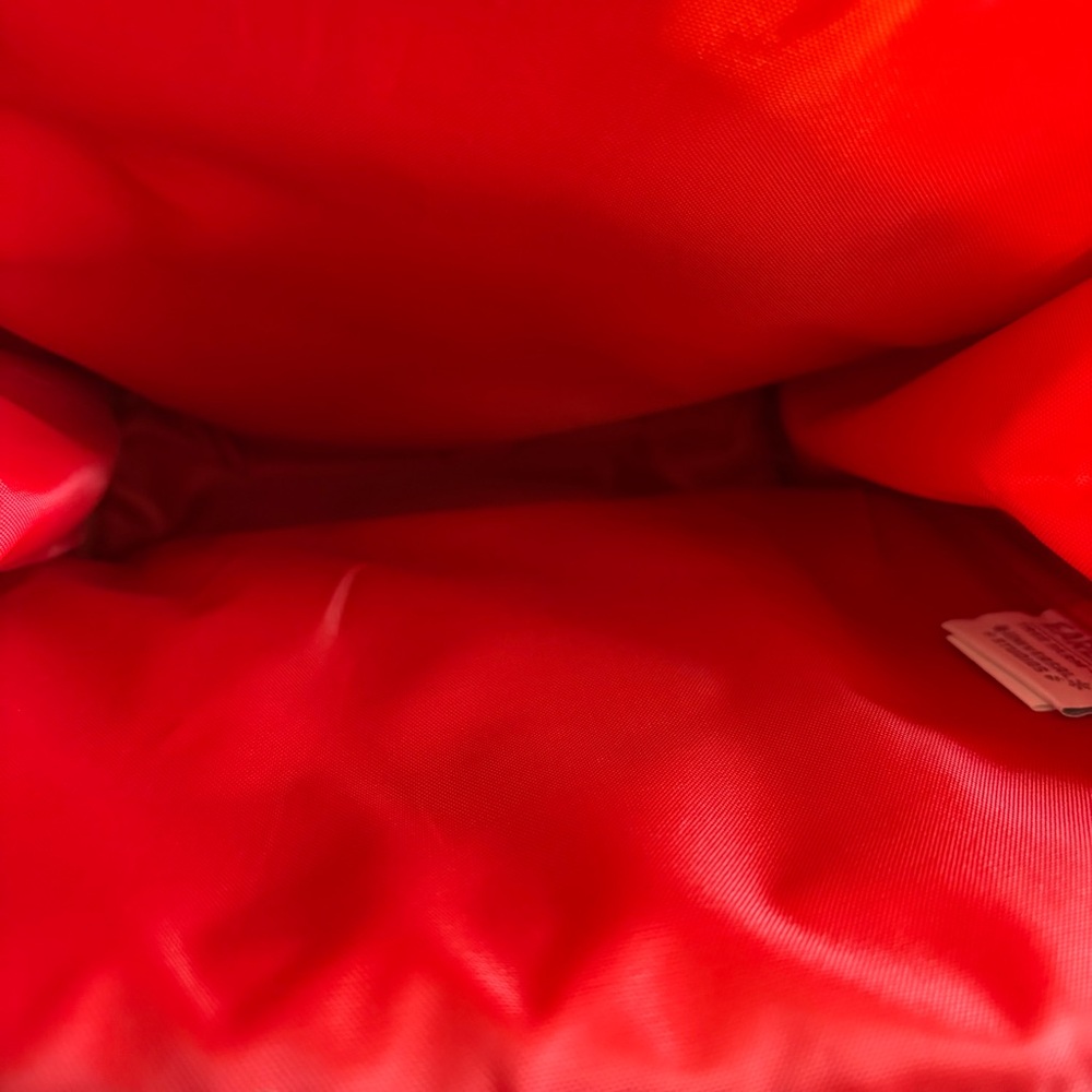 Universal Studios Earl The Squirrel Small Christm… - image 3